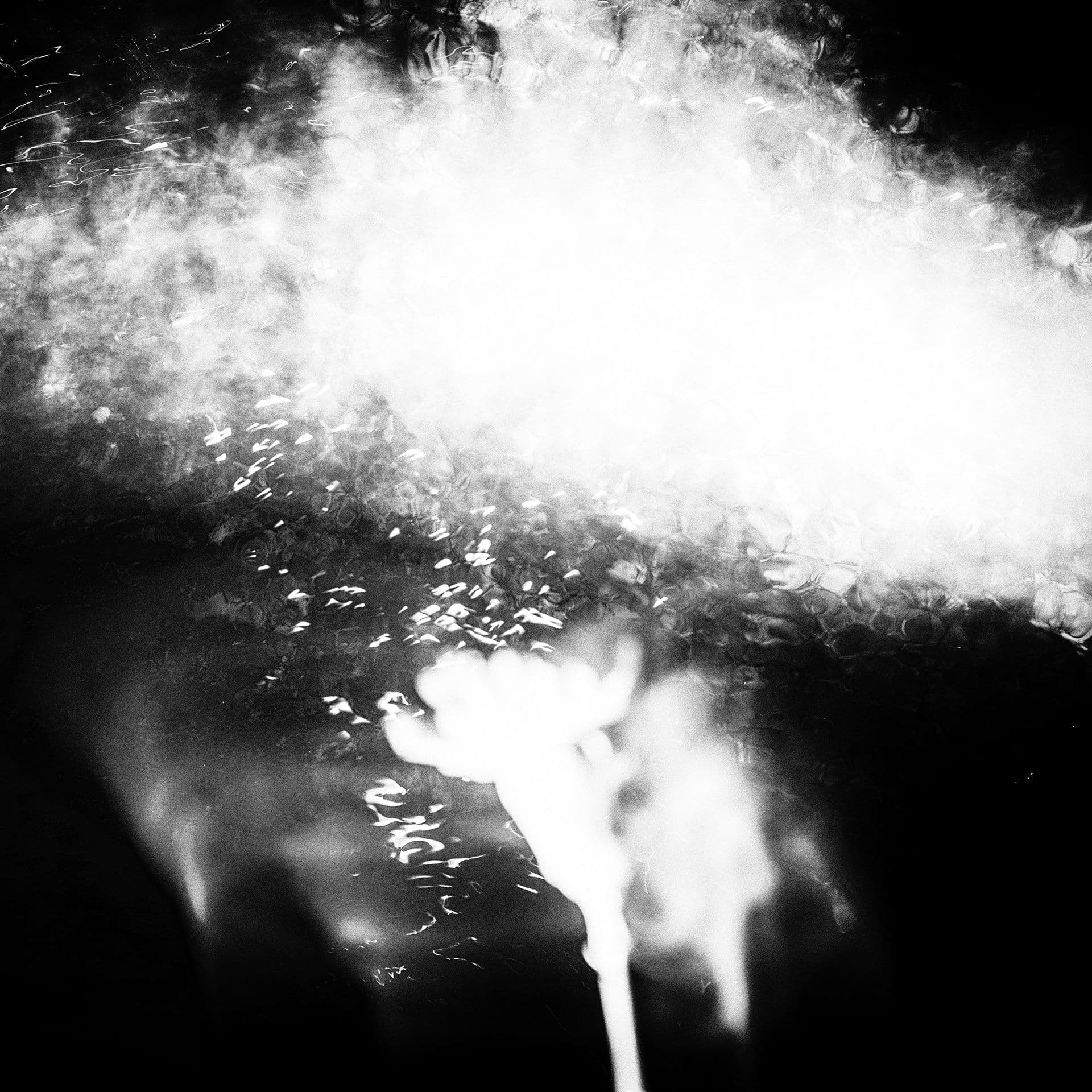 LIMNÓFILO (Projecto Piccolino)