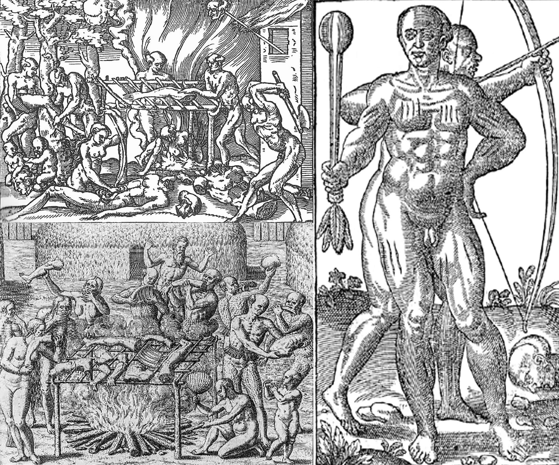 Imagens do século XVI como documentos de identidade indígena no Brasil do século XXI