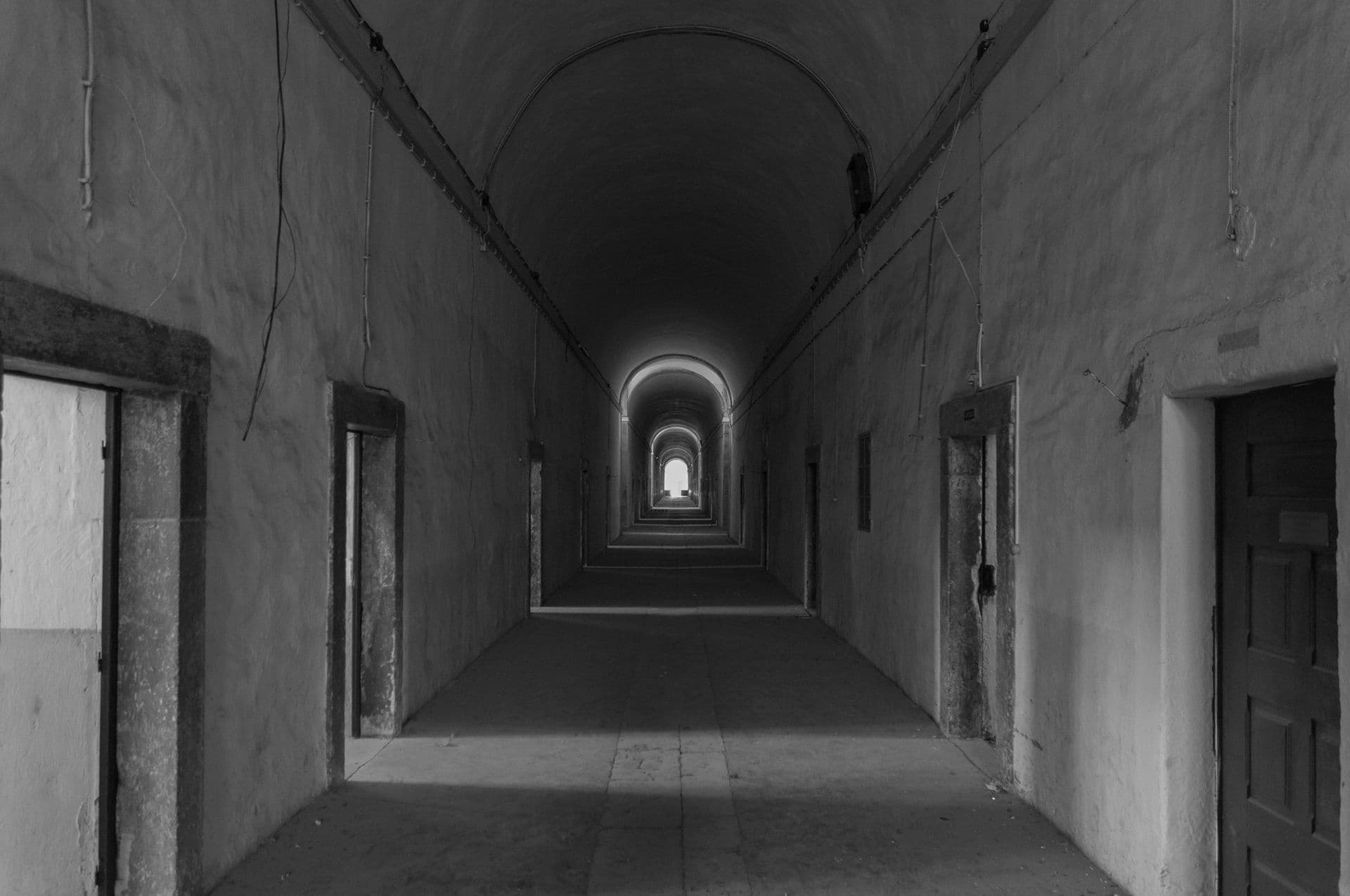 Visita e conversa com os curadores