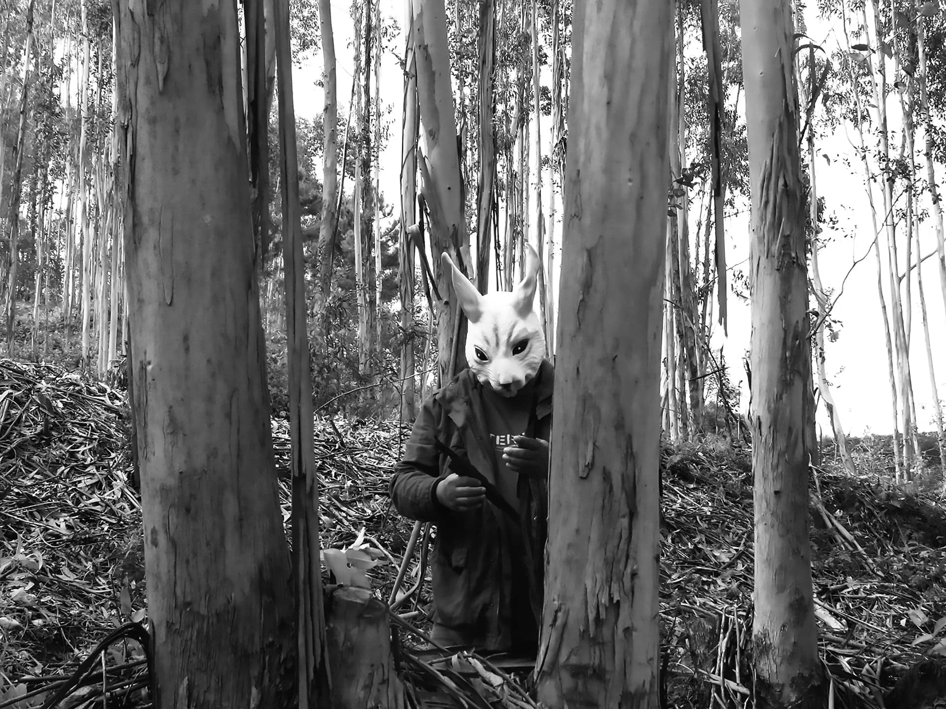 ANOZERO ÁGORA: Liberdade e Fantasia