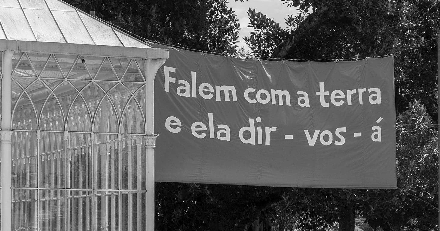 Visita Orientada ao Jardim Botânico