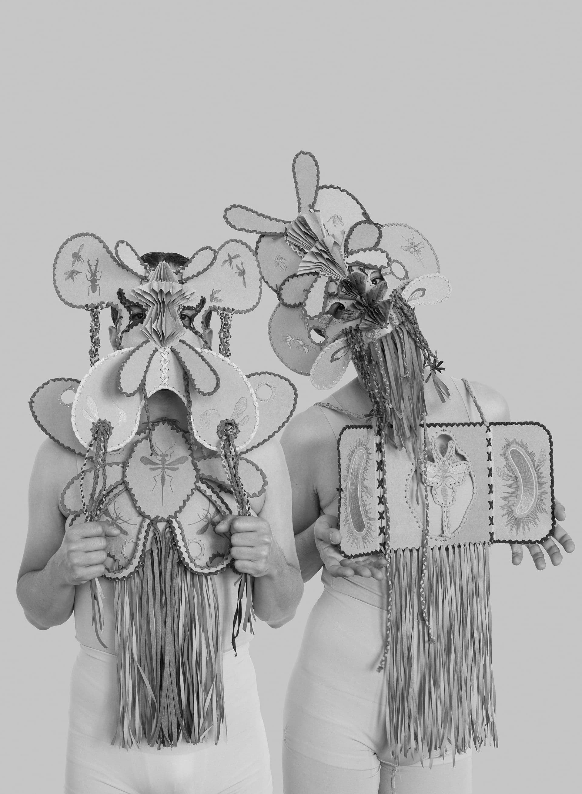 Anatomical Folding Book